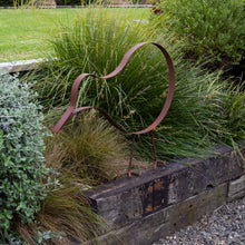 Load image into Gallery viewer, Leo kiwi