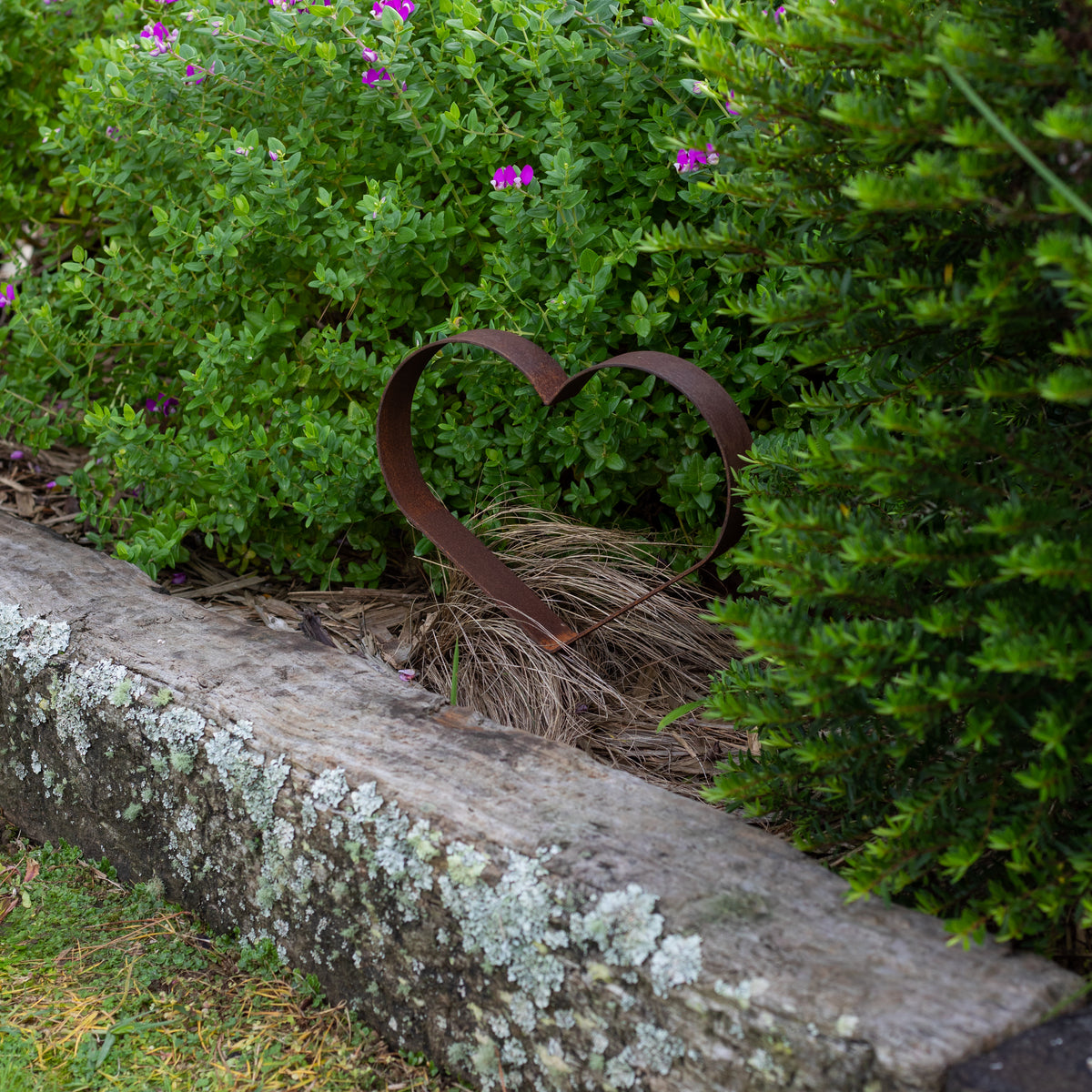 Lion Heart Garden Art No8 Wired Rustic Designs