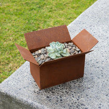 Load image into Gallery viewer, Shoebox