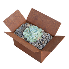 Load image into Gallery viewer, Shoebox